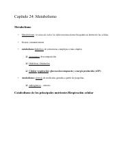 Capítulo 24_ Metabolismo.pdf