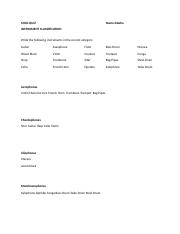 Copy of Instrument Classification Quiz.docx