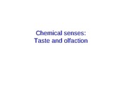 checmical senses_S12