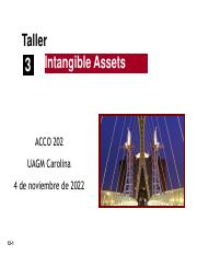Taller 3 ACCO 202.pdf