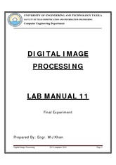 Lab Manual 11