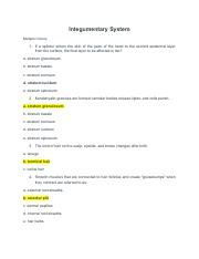 Integumentary System Quiz.pdf