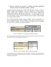 informe decisiones.pdf