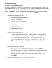 Week 6 Study Guide Protein.docx