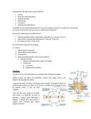 Componentes del sistema de endomembranas.docx