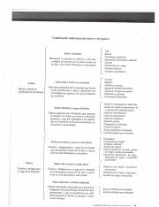 cuentas-balance (1).pdf