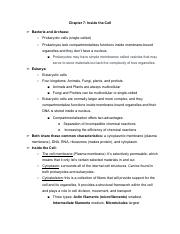 Chapter 7 Notes.pdf