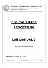 Lab Manual 10