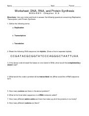 worksheet_DNA_RNA_Protein_Syn.pdf
