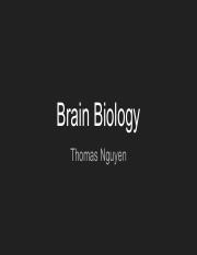Brain Biology.pdf