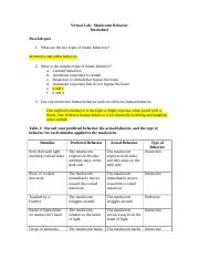 Mealworm Behavior student worksheet (finished)