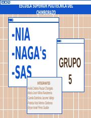 Grupo 5- NIA's .pptx