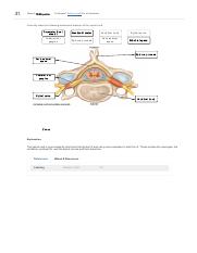 The Bones of the Skull, Human Anatomy and Physiology Lab (BSB 141)