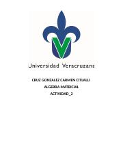 Act2_CARMEN CITLALLI_CRUZ GONZALEZ.docx