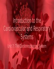Copy of Intro to the Cardiovascular System.pptx