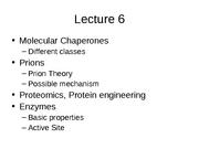 Lecture 6 More on Proteins the enzymes