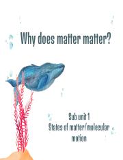 Day 1 Why does matter matter? SU1 Dealing with the plastic issue - DINB plastic project 2021.pdf