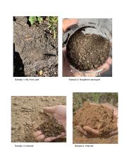 Lab 6 Soil Samples.pdf