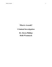 what is assault.pdf