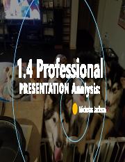 Jackson_Nicholas_1.4_Professional_Presentation_Analysis.pdf