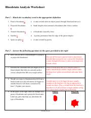 Bloodstain Analysis Worksheet.pdf
