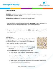 75 - Cell Division Answer Key Vocabulary cell division ...