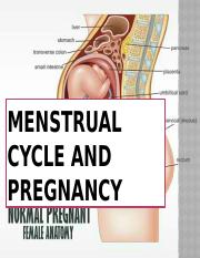 MENSTRUAL-CYCLE-AND-PREGNANCY.pptx