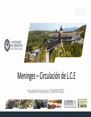 Clase 30 Meninges y circulaciÃ³n de LCE.pdf