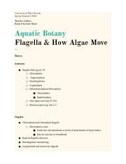Flagella and How Algae Move, Photoreceptors and Light,