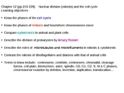 BB lecture 12-5 cell cycle, mitosis