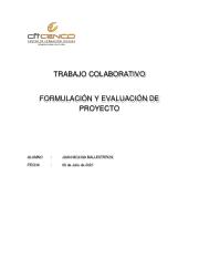 Trabajo colaborativo Formulacion y evaluacion de proyecto.pdf