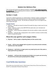 Module_one_wellness_plan_completed.docx