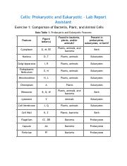 Cells- Prokaryotic and Eukaryotic Worksheet PDF.pdf