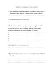 PROTEIN SYNTHESIS WORKSHEET.doc