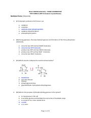 Exam 4 Answers-1-1 (1).pdf