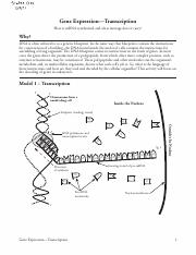 Gene expression-Stutee Oke.pdf