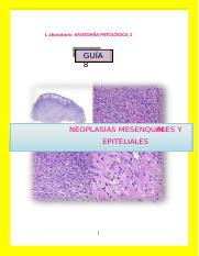 guía 8 NEOPLASIAS MESENQUIMALES Y EPITELIALES - lab anatomia patologica 1 .docx