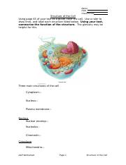 (Worksheet) Structure of the Cell.doc