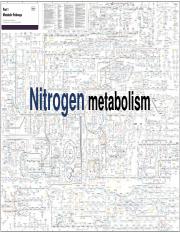 Lecture 30 - Nitrogen Metabolism.pdf