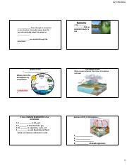 Biogeochemical Cycles notes.pdf