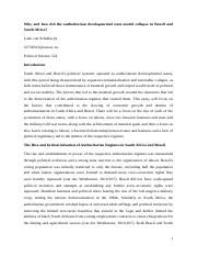 Brazil and RSA essay.docx