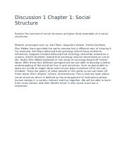 Social structure discussion 13.docx