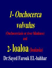 oncocerciasis and loa loa sayed farouk.pdf