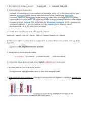 Meiosis review student sheet CO.doc