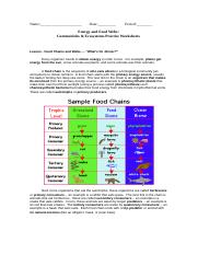 Food Chain and Food Web Notes and Worksheets.doc