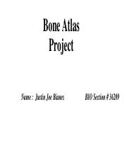 Bone Atlas Project .pdf