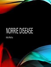 NORRIE DISEASE.pptx