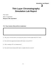 03 TLC Report Sheet F21.docx