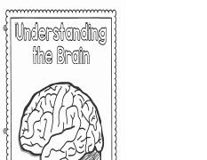 understanding the brain.pdf