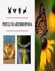 phylum arthropoda.pdf
